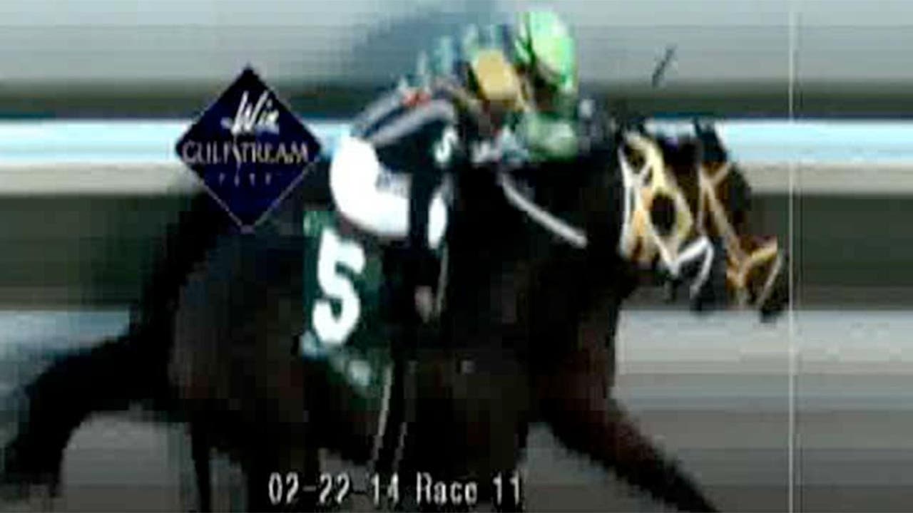 Wildcat Red outgames General a Rod in Fountain of Youth